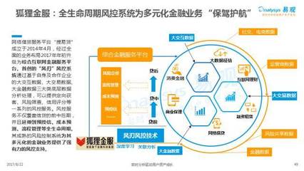 2017中國互聯(lián)網金融行業(yè)專題分析 互聯(lián)網數(shù)據服務的崛起與挑戰(zhàn)